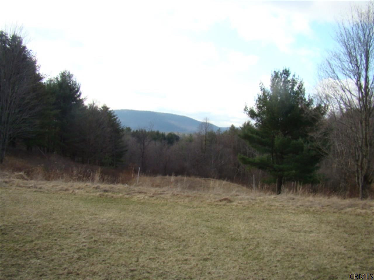 108 Phillips Road Pittstown, NY 12185 - Photo 2 of 20 Photo 2