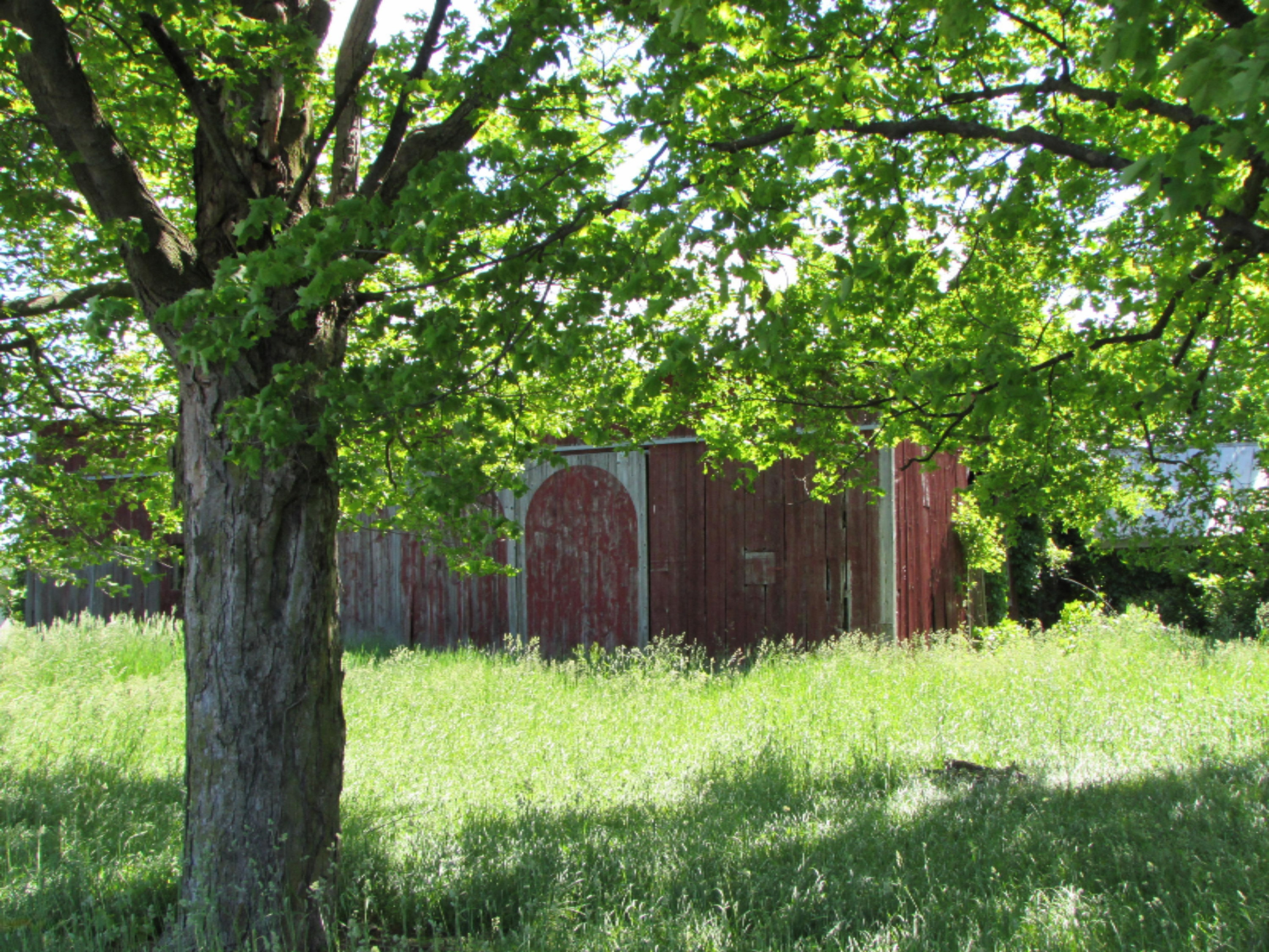 891 South Fremont Road Montgomery, MI 49255 - Photo 2 of 7 IMG_4746