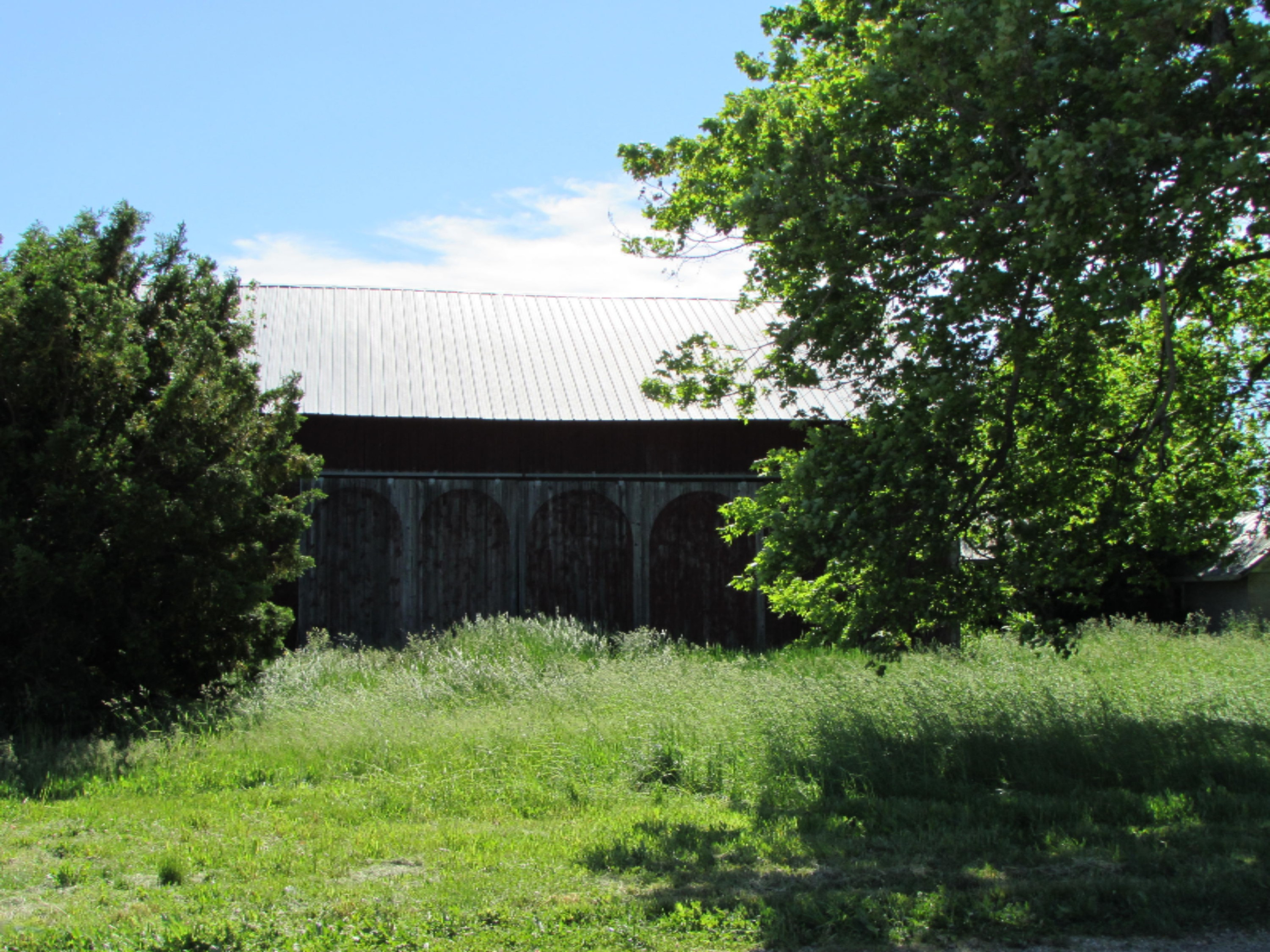 891 South Fremont Road Montgomery, MI 49255 - Photo 4 of 7 IMG_4748