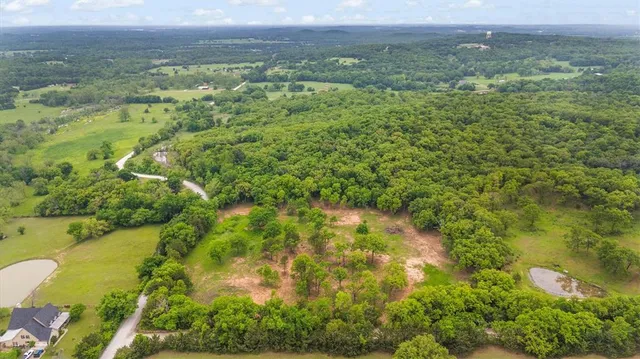 a view of a forest with a houses