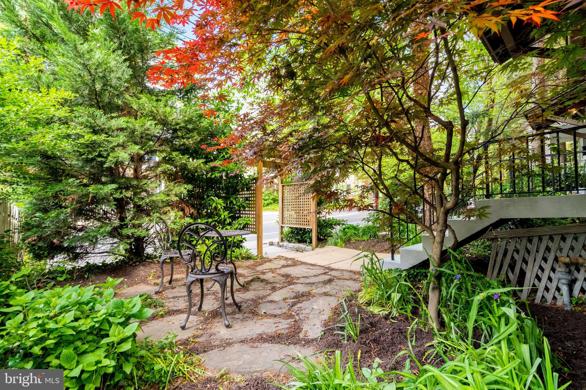 3605 34th Street Northwest Washington, DC 20008 - Photo 40 of 43 Backyard