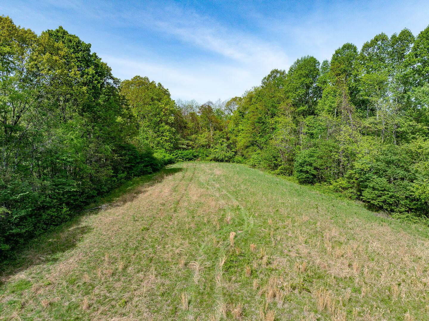 2 Perry Ridge Road Wilkesville, OH 45695 - Photo 9 of 27 Perry Ridge Rd Tract 2-5-2