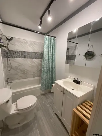 a bathroom with a sink a toilet and shower