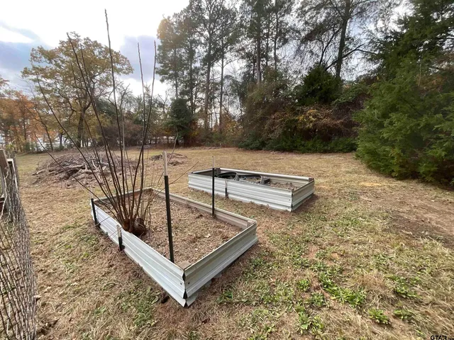a view of a backyard with trees