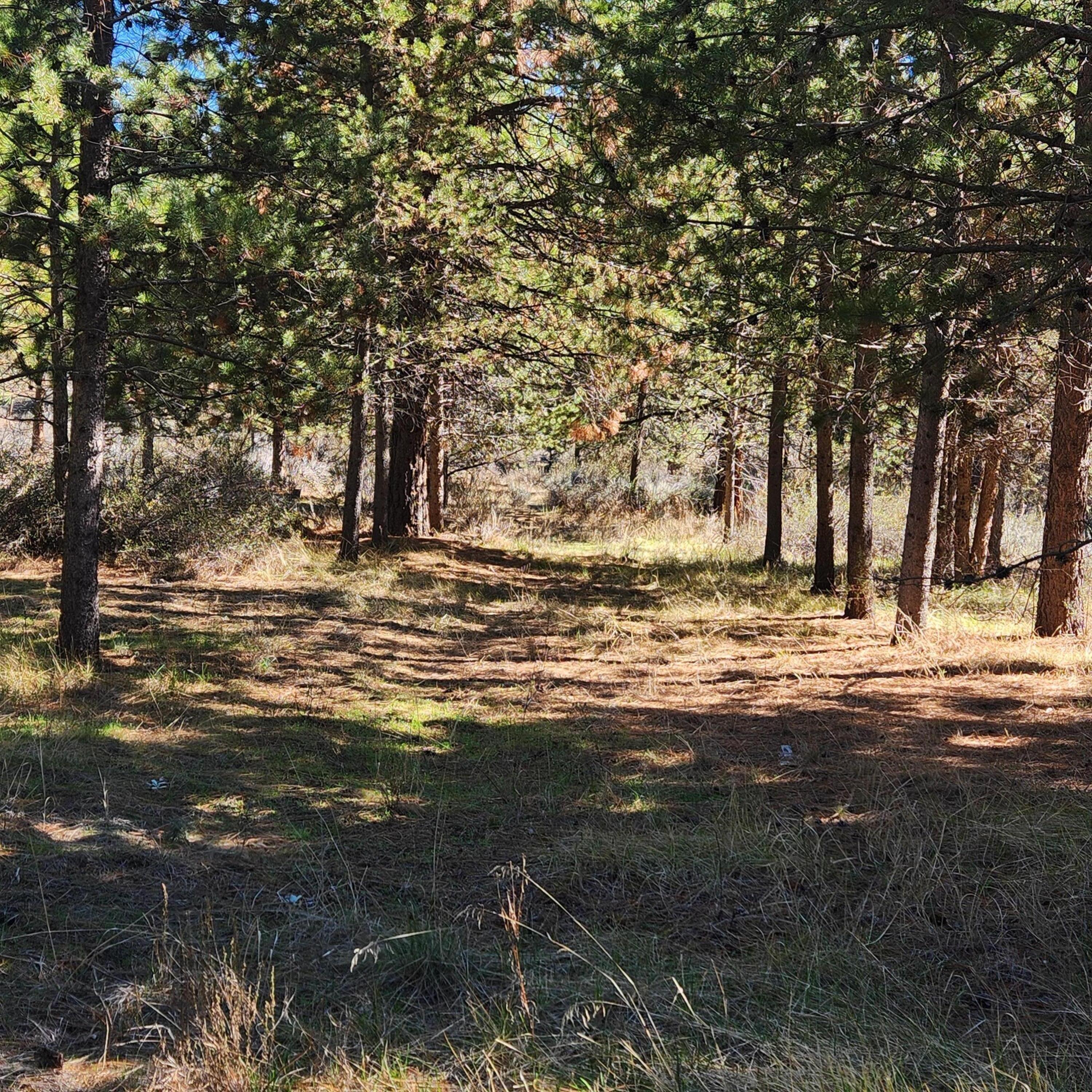 Moccasin Lane Chiloquin, OR 97624 - Photo 11 of 21 a view of water view
