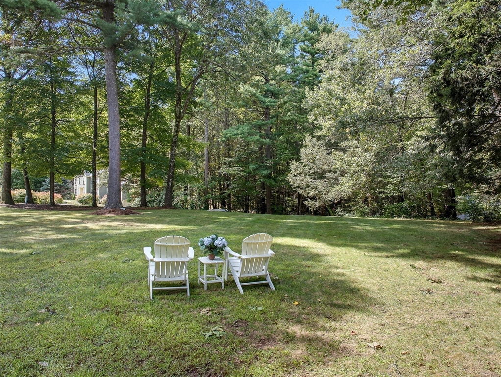 16 Priest Road Berlin, MA 01503 - Photo 37 of 42 a white bench sitting in a park with large trees
