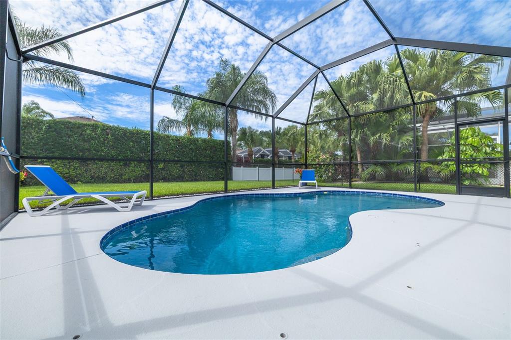 10632 Firebrick Court Trinity, FL 34655 - Photo 14 of 45