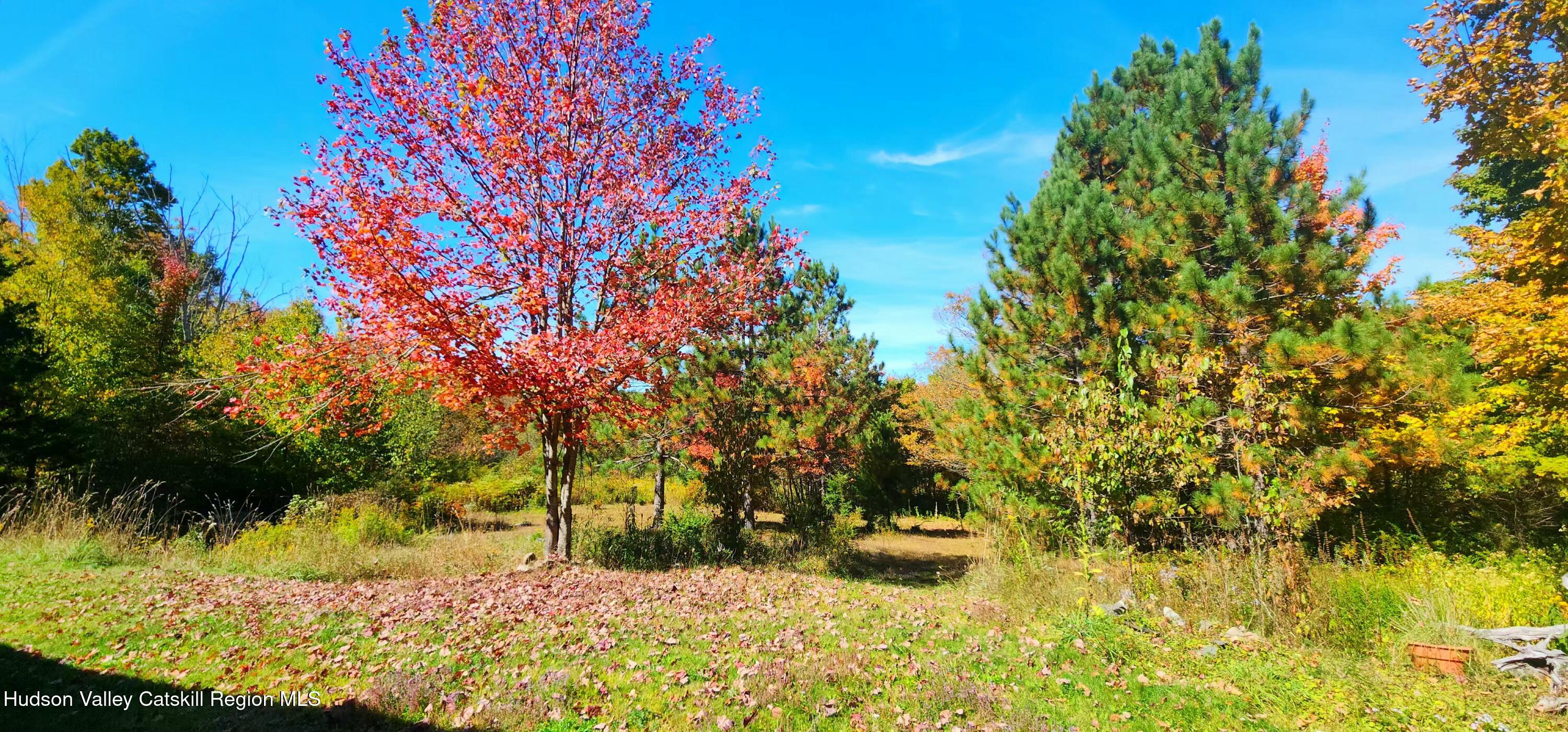 143 Pond View Road Gilboa, NY 12076 - Photo 6 of 18 conesville pond pic.