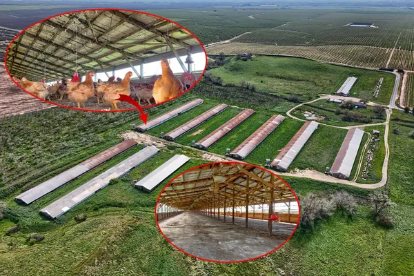 $2,060,000 | 17164 Keyes Road, Snelling, CA 95369