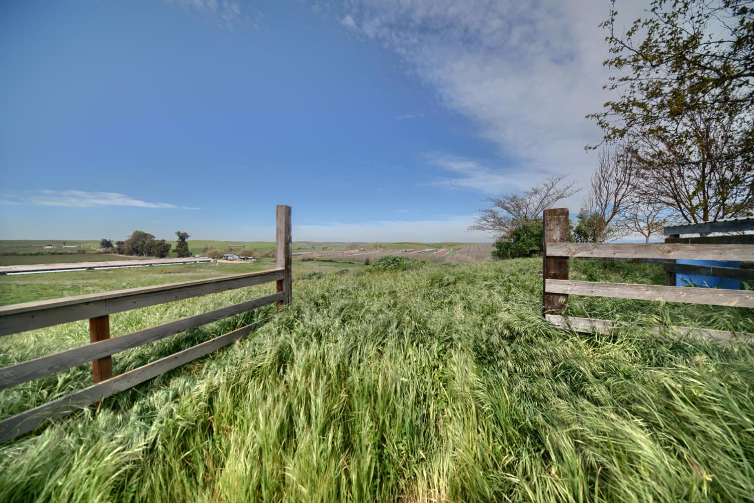 17164 Keyes Road Snelling, CA 95369 - Photo 77 of 97 a view of a garden with an outdoor space