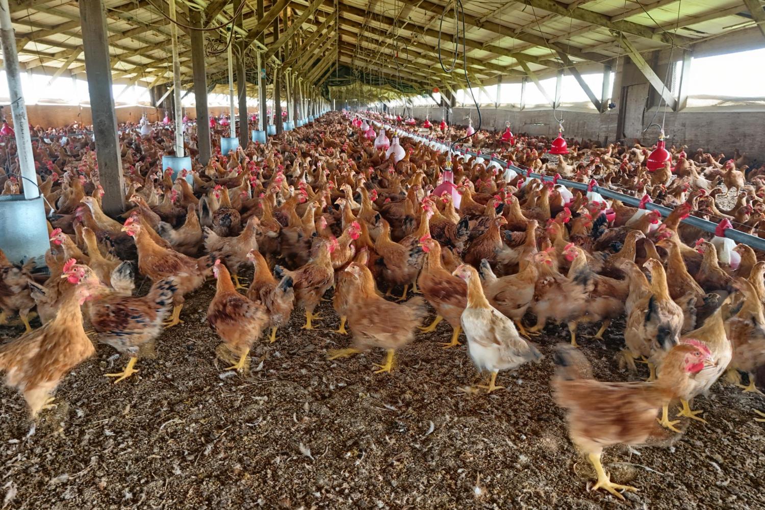 17164 Keyes Road Snelling, CA 95369 - Photo 97 of 97