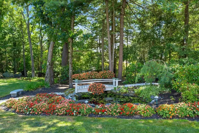 a view of a garden with flowers and trees