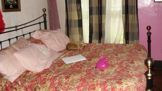 $95,000 | 711 North Eaton Street, Albion, MI 49224