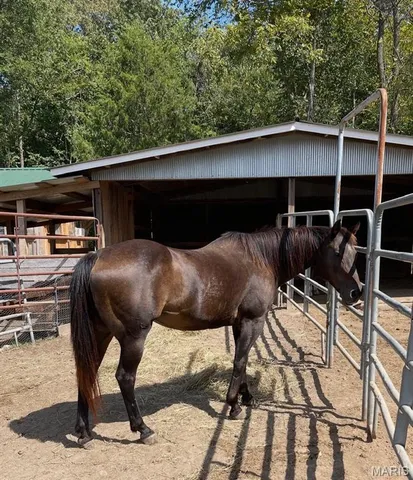 $162,000 | 2225 Us Highway, Doniphan, MO 63935