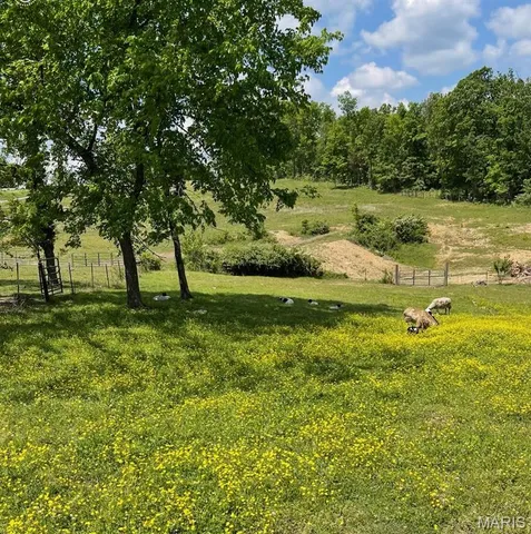 $162,000 | 2225 Us Highway, Doniphan, MO 63935