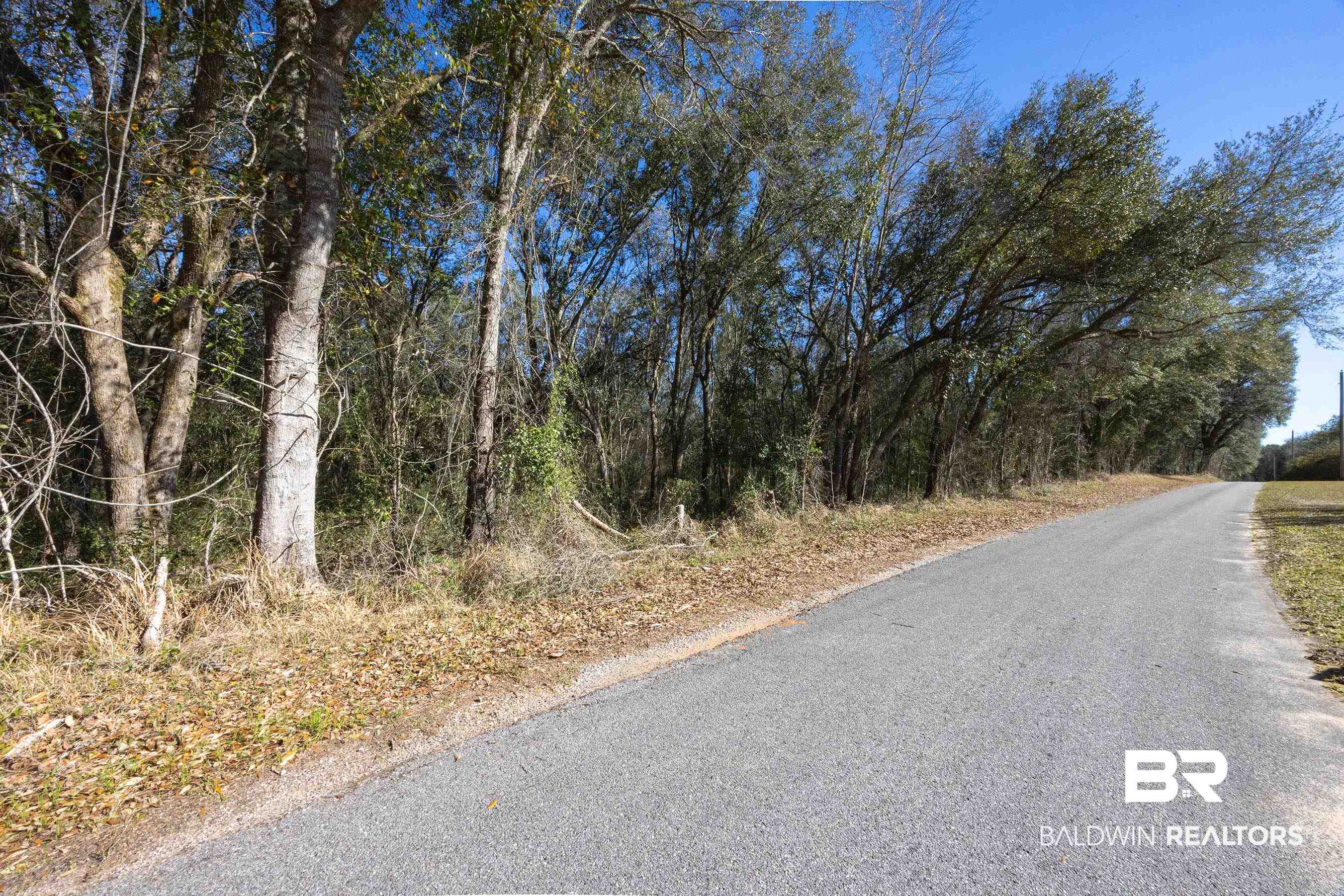 0 Downing Road Summerdale, AL 36580 - Photo 4 of 10 View of street