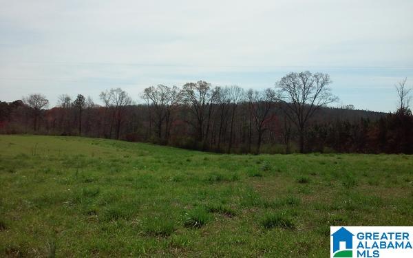 40 County Road, Unit 11 Woodland, AL 36280 - Photo 4 of 6