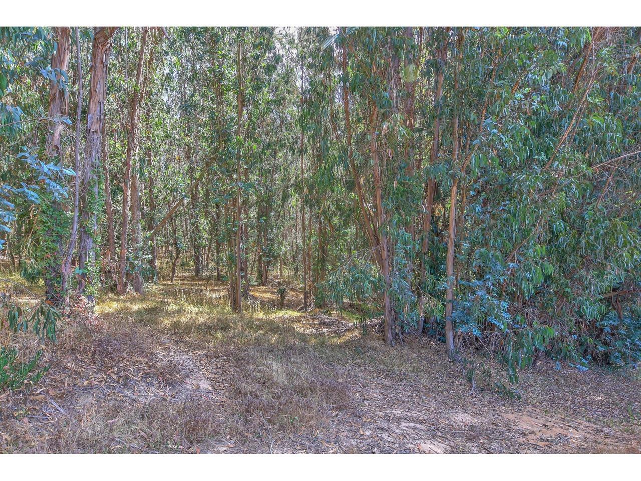 64 Paddon Road Watsonville, CA 95076 - Photo 15 of 38 Gallery Image 15