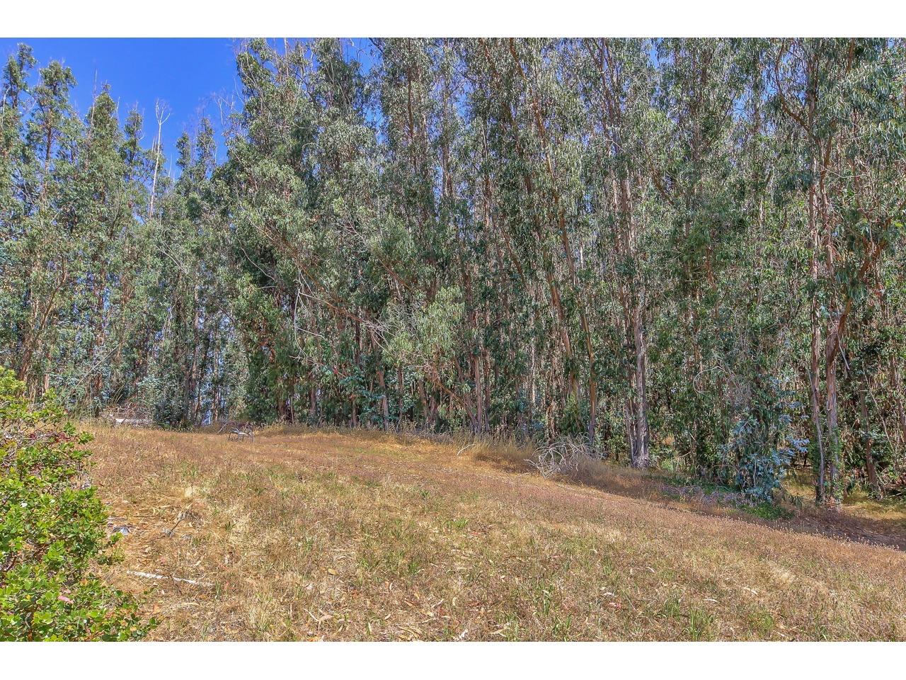 64 Paddon Road Watsonville, CA 95076 - Photo 24 of 38 Gallery Image 24
