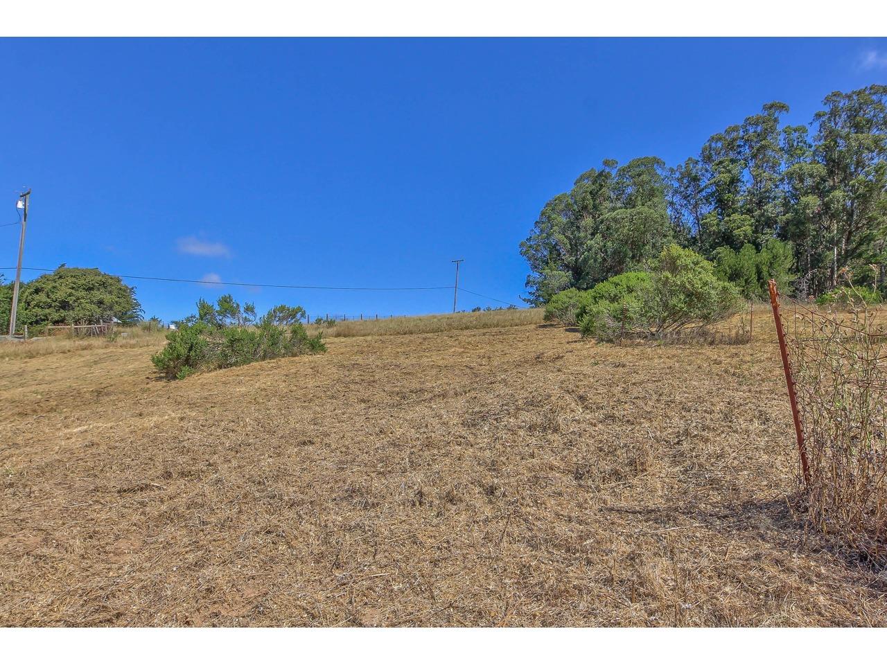 64 Paddon Road Watsonville, CA 95076 - Photo 37 of 38 Gallery Image 37