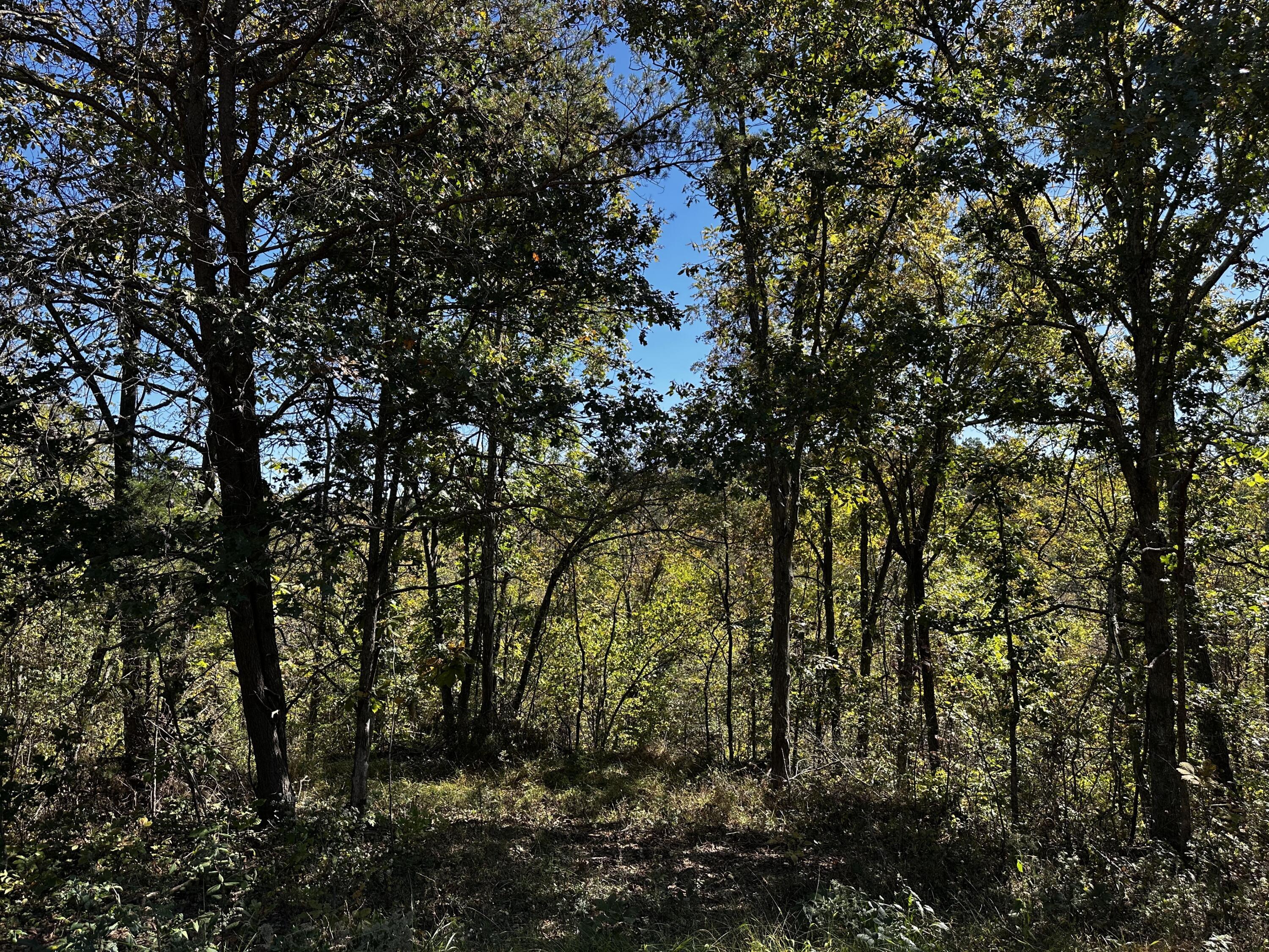 865 Hull Road, Unit TRACT 13 WOODS WAYNE FOREST) Patriot, OH 45658 - Photo 50 of 57 20241008_180552576_iOS