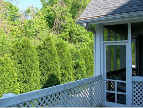 1352 South College Mall Road Bloomington, IN 47401 - Photo 11 of 12 Gallery Image 11