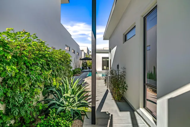 a view of a potted plants with sky view