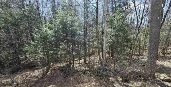 $75,000 | 0 Jacobs Ladder Road, Becket, MA 01223