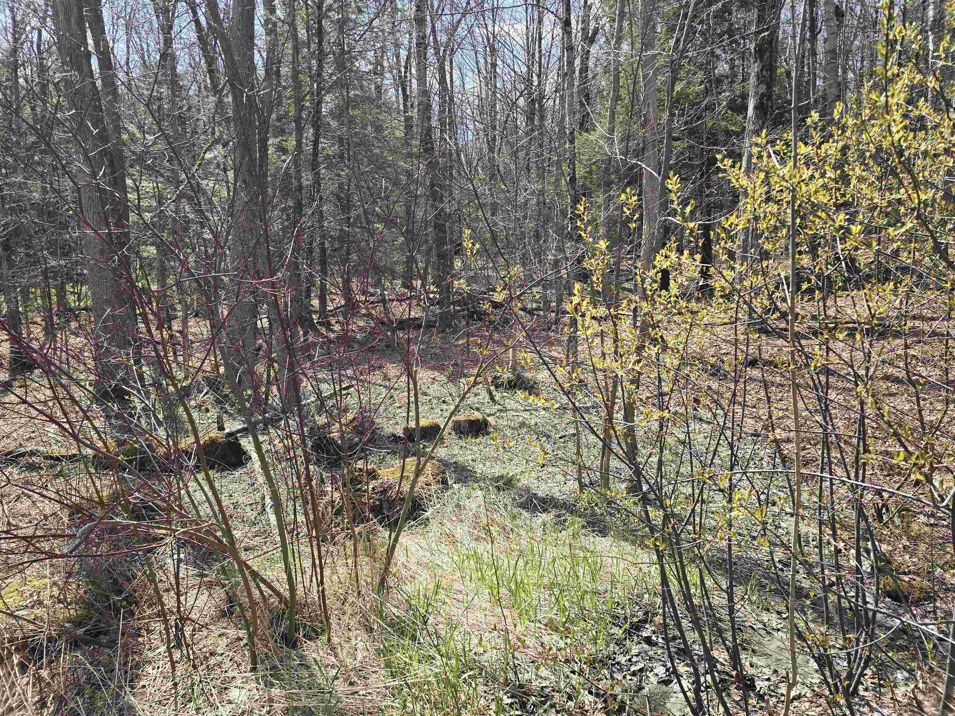 0 Jacobs Ladder Road Becket, MA 01223 - Photo 4 of 6