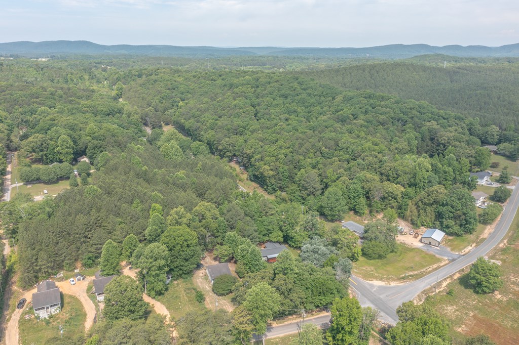 2249 Mill Creek Road Southwest Rocky Face, GA 30740 - Photo 10 of 51 Gallery Image 10