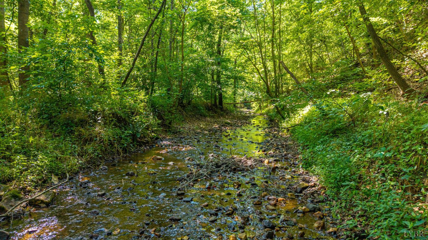 0 Mt Athos Road Lynchburg, VA 24504 - Photo 42 of 42