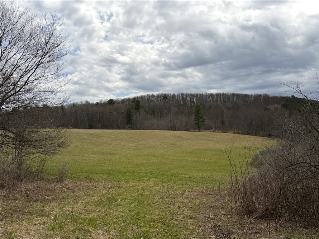 Lot 7 Summit Road Cuba, NY 14727 - Photo 3 of 31