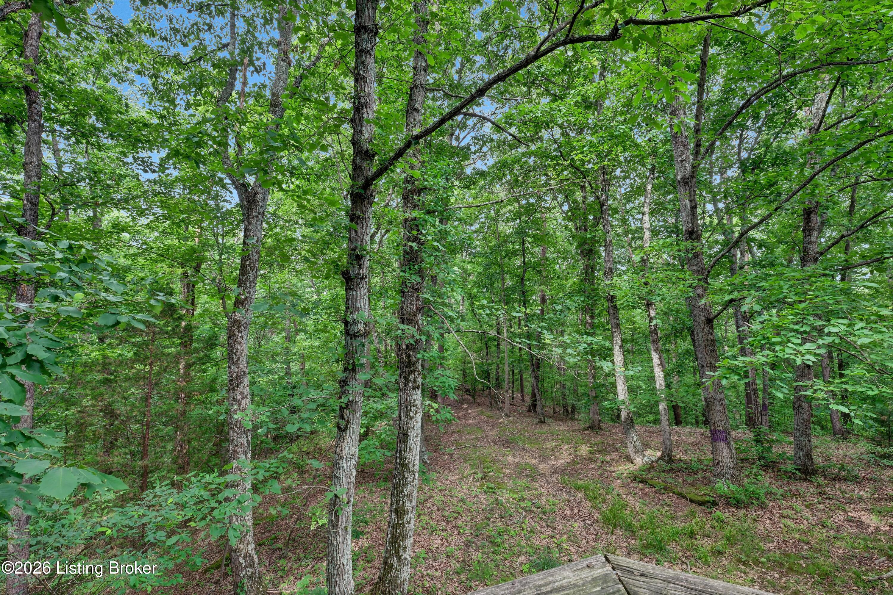 5088 South Ray Road Underwood, IN 47177 - Photo 34 of 43 34-5088 S Ray Rd