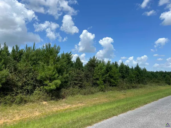 $167,900 | Lot 7 Whitfield Road, Elko, GA 31025