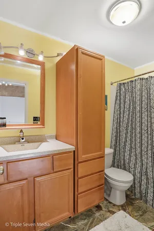 a bathroom with a sink a toilet and shower