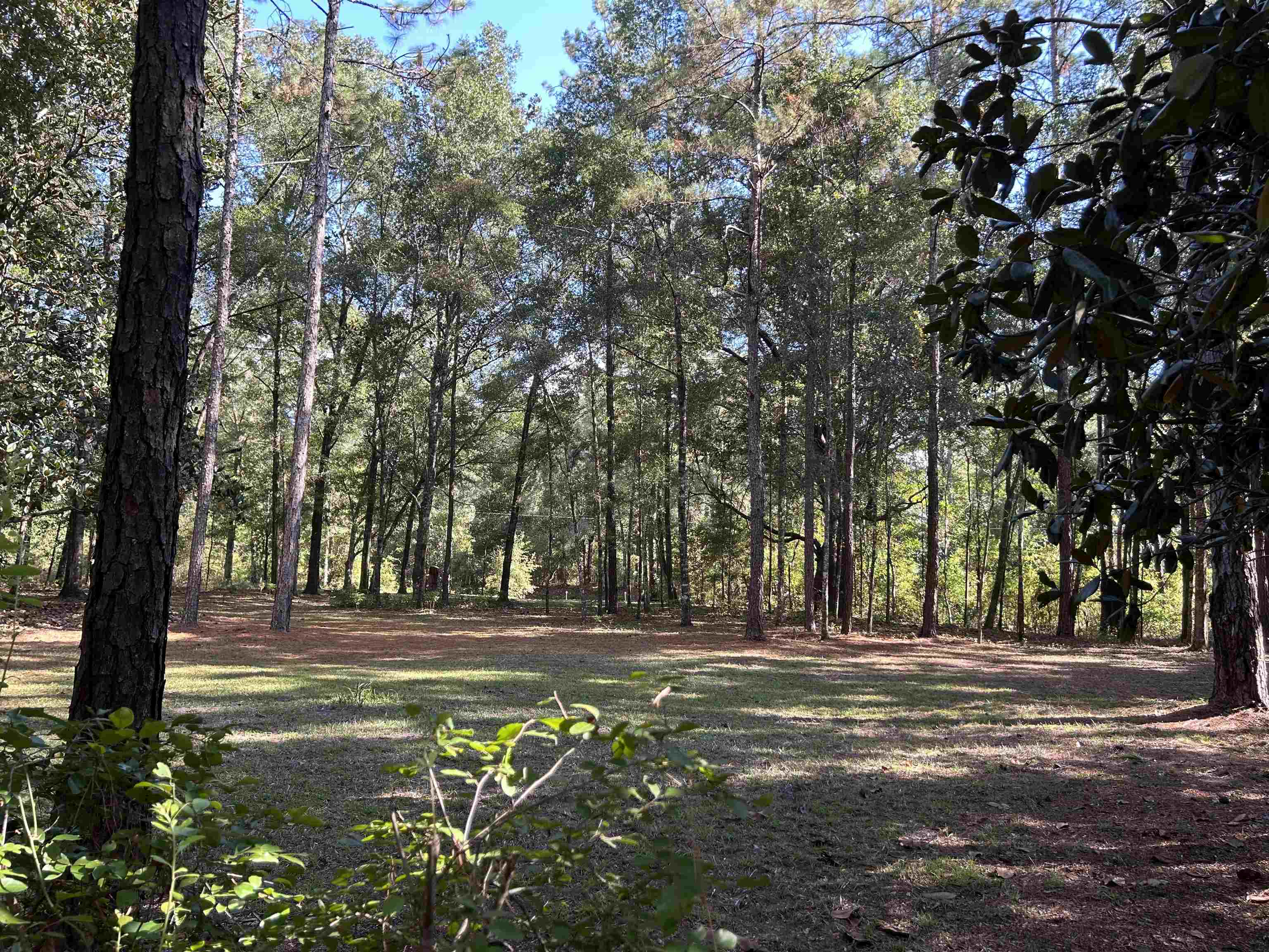 Tram Road Tallahassee, FL 32311 - Photo 6 of 29