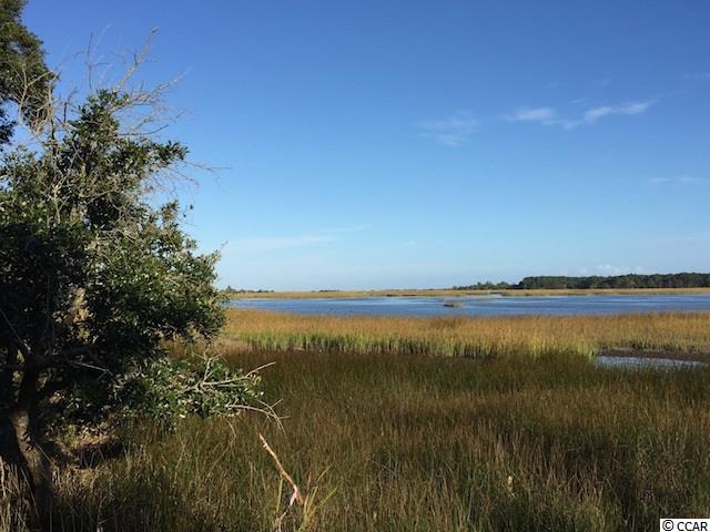 112 Gillette Place Murrells Inlet, SC 29576 - Photo 2 of 15 Gallery Image 2