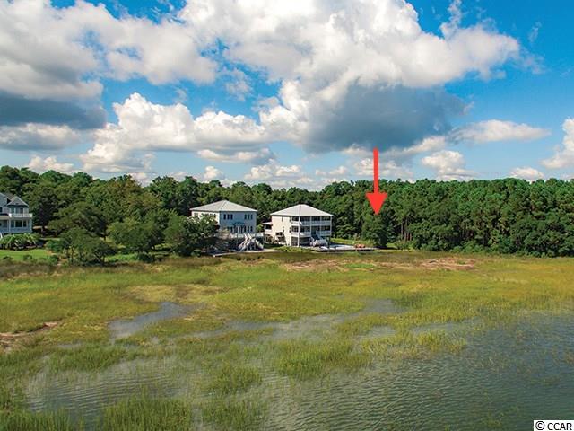 112 Gillette Place Murrells Inlet, SC 29576 - Photo 11 of 15 Gallery Image 11