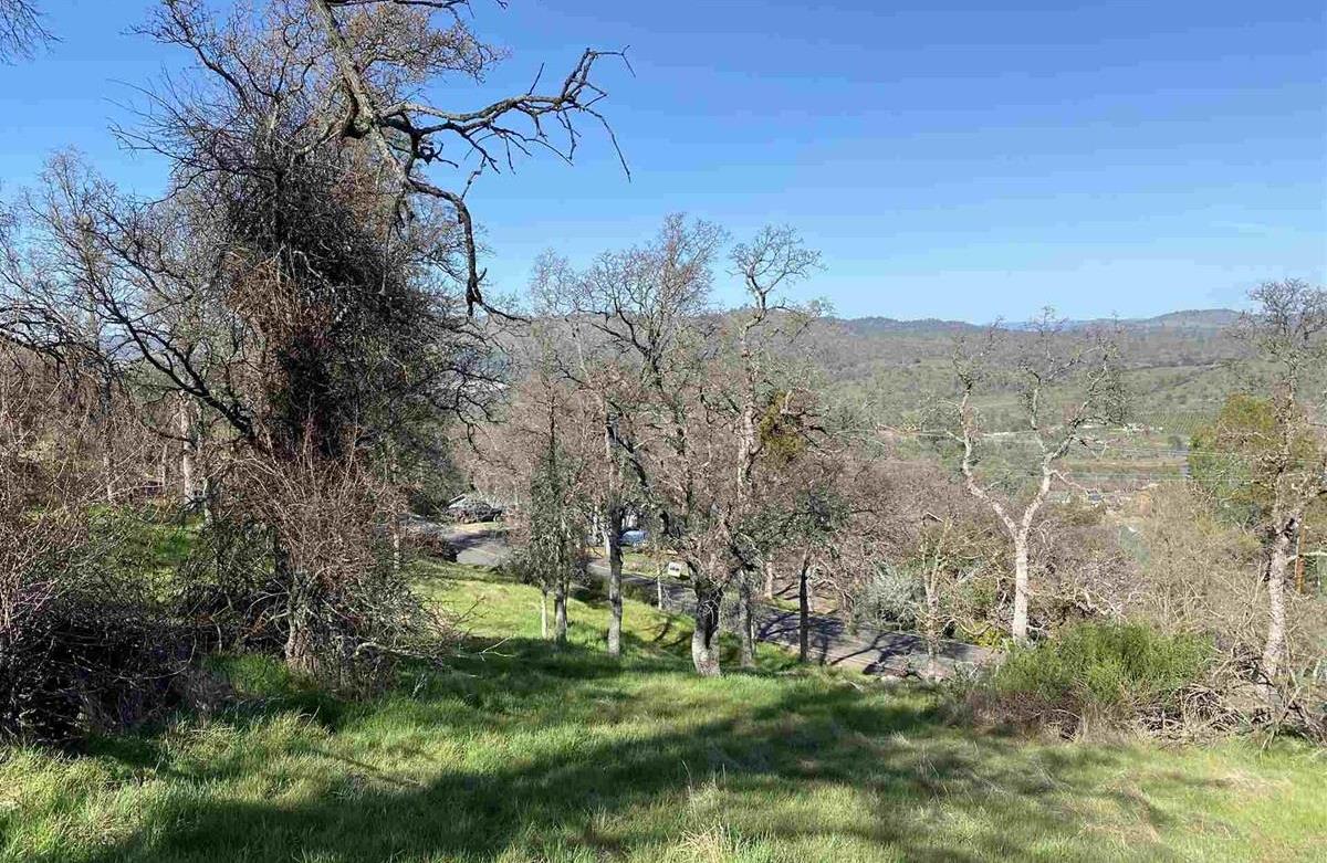 4846 Bayview Drive Copperopolis, CA 95228 - Photo 8 of 44 a view of a yard with mountain