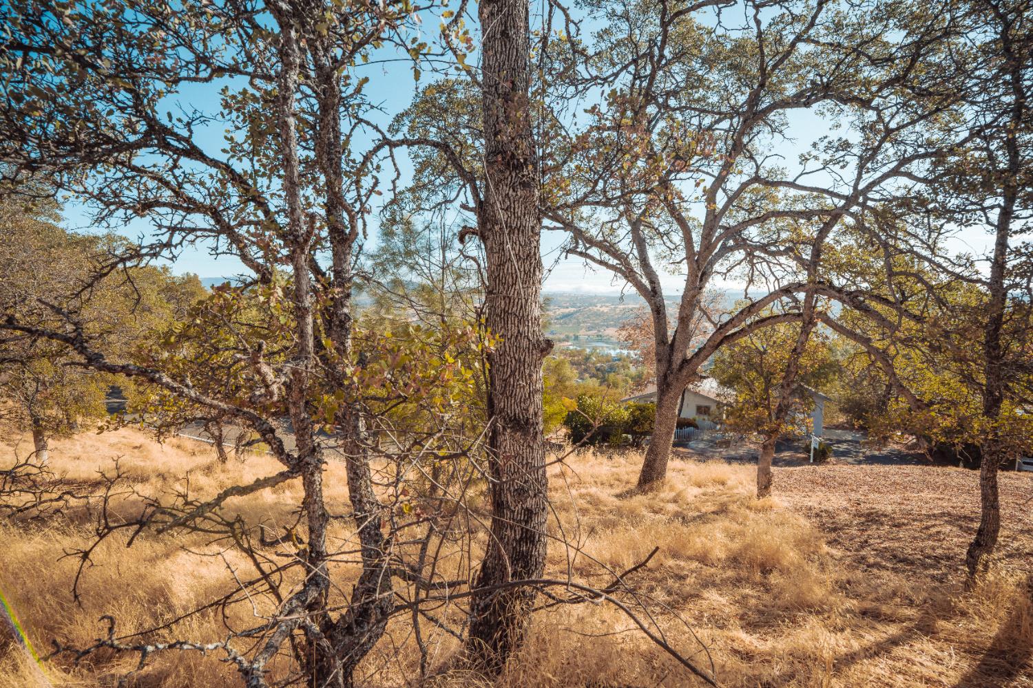 4846 Bayview Drive Copperopolis, CA 95228 - Photo 10 of 44 a view of snow covered with trees