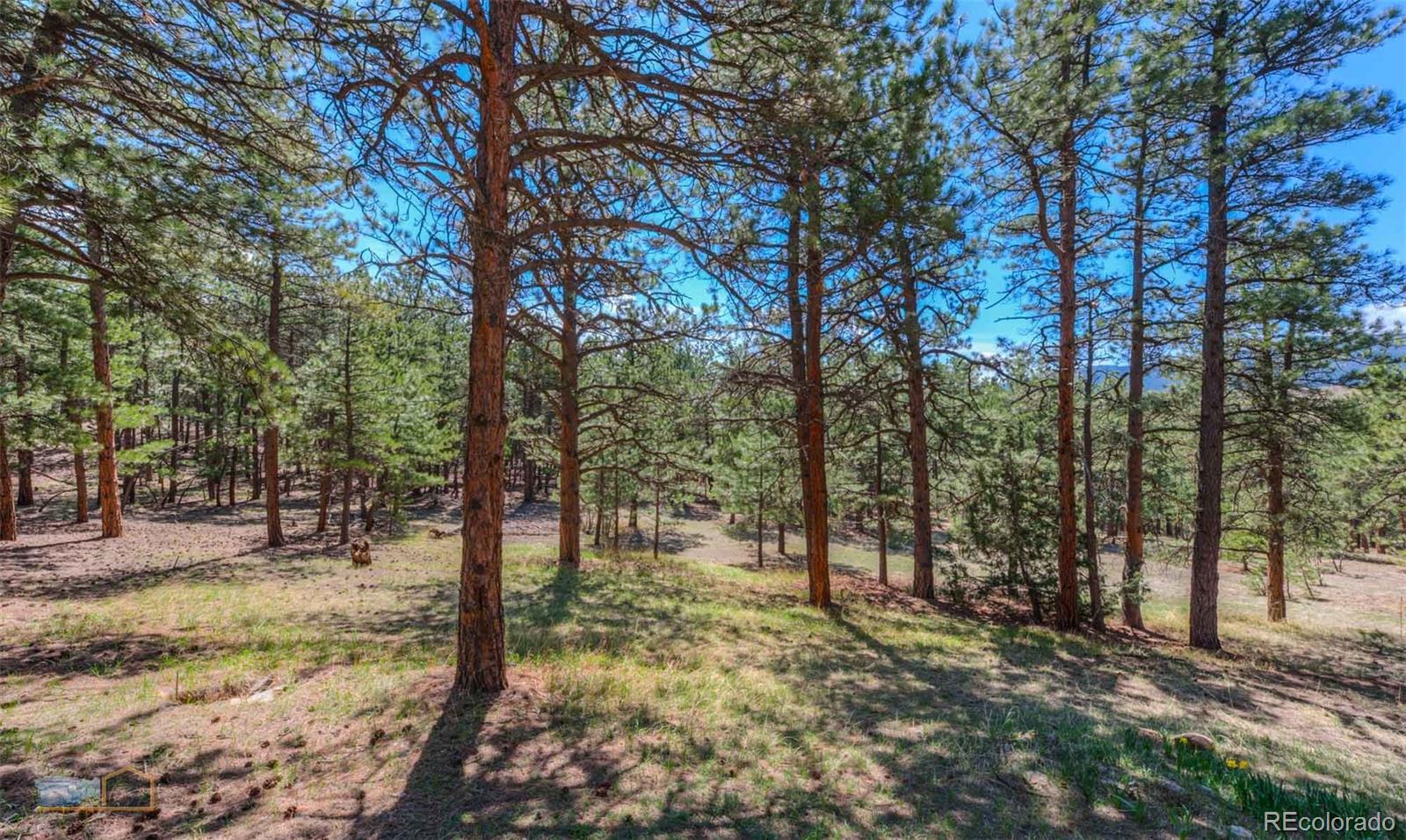 570 Mountain Meadows Road Boulder, CO 80302 - Photo 33 of 39 Gallery Image 33