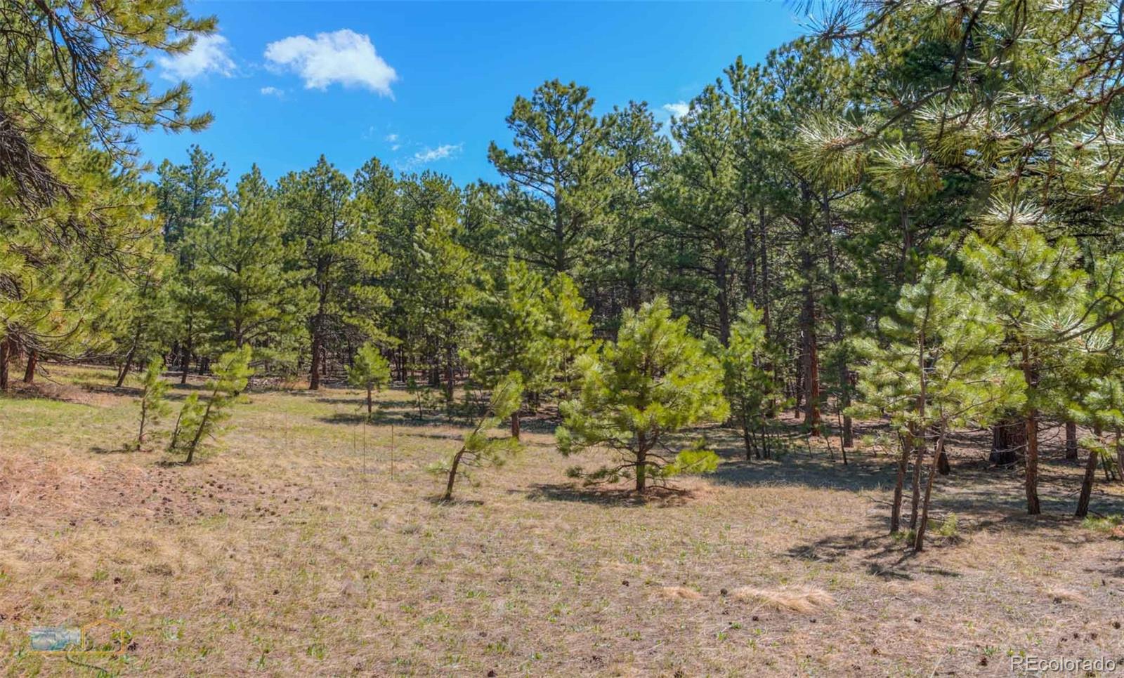 570 Mountain Meadows Road Boulder, CO 80302 - Photo 34 of 39 Gallery Image 34