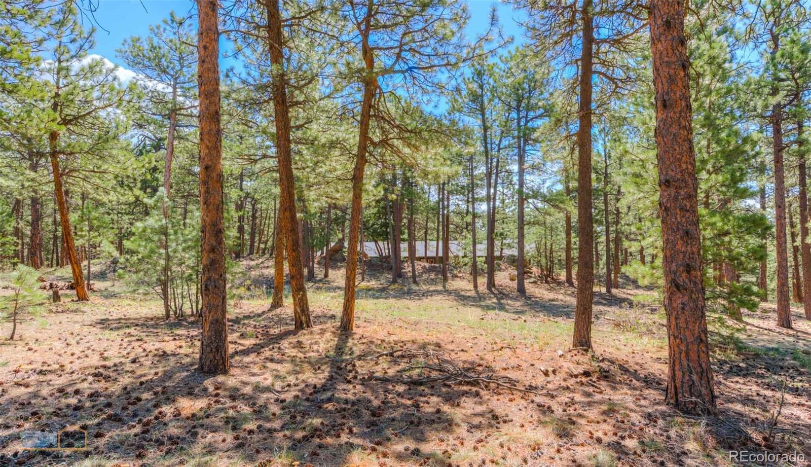 570 Mountain Meadows Road Boulder, CO 80302 - Photo 8 of 39 Gallery Image 8