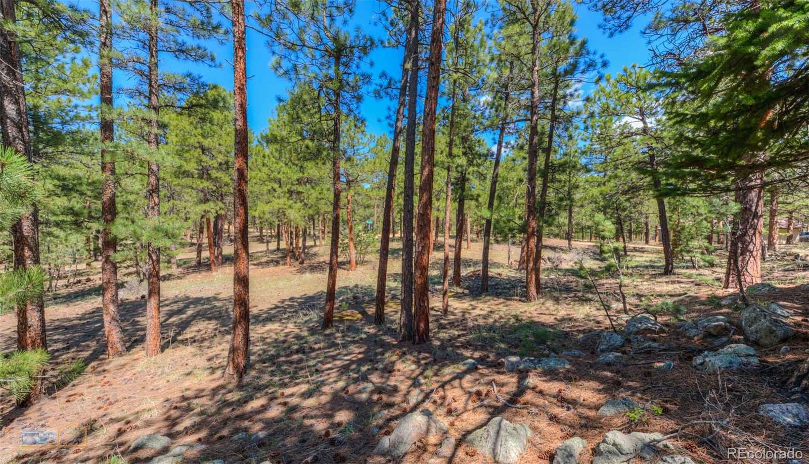 570 Mountain Meadows Road Boulder, CO 80302 - Photo 9 of 39 Gallery Image 9