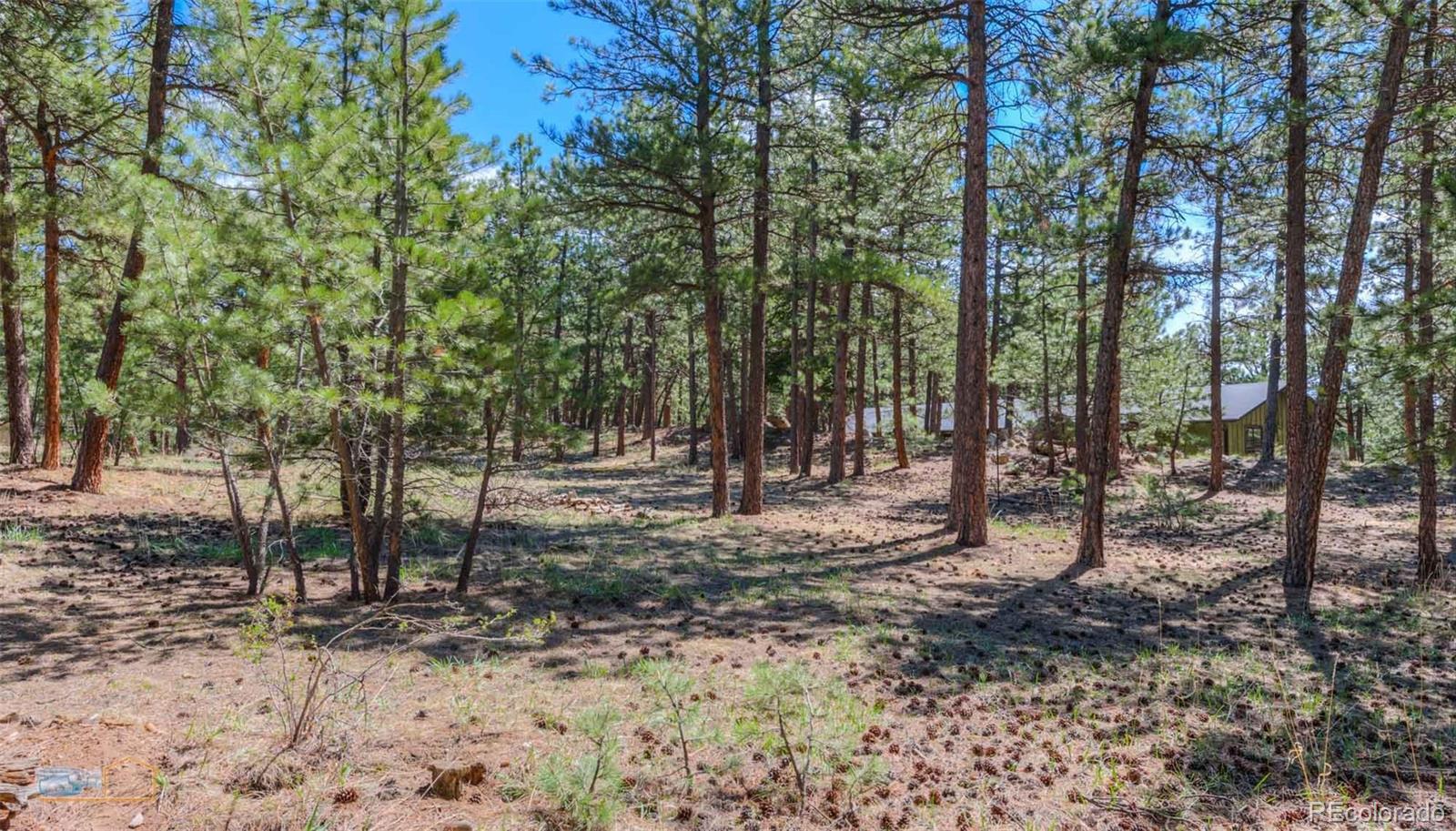 570 Mountain Meadows Road Boulder, CO 80302 - Photo 10 of 39 Gallery Image 10