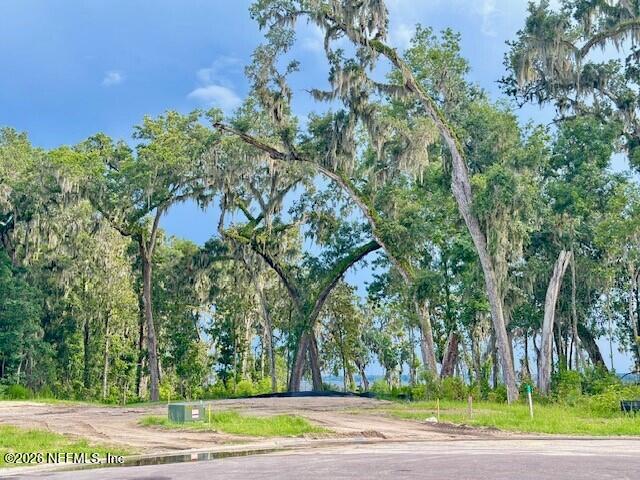 62 Slip Cove St. Johns, FL 32259 - Photo 2 of 54 a view of a yard