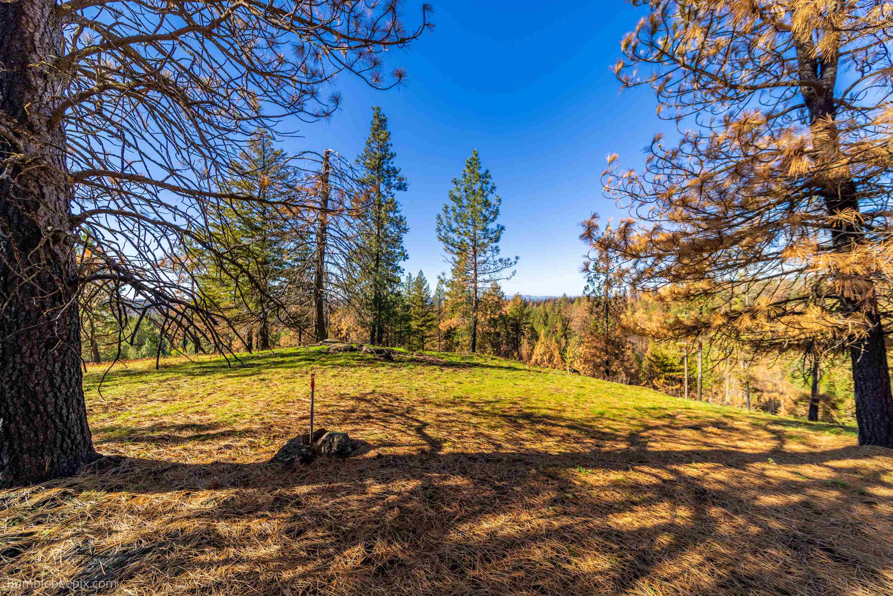 15428 East Nelson Road Elk, WA 99009 - Photo 21 of 36 Gallery Image 21