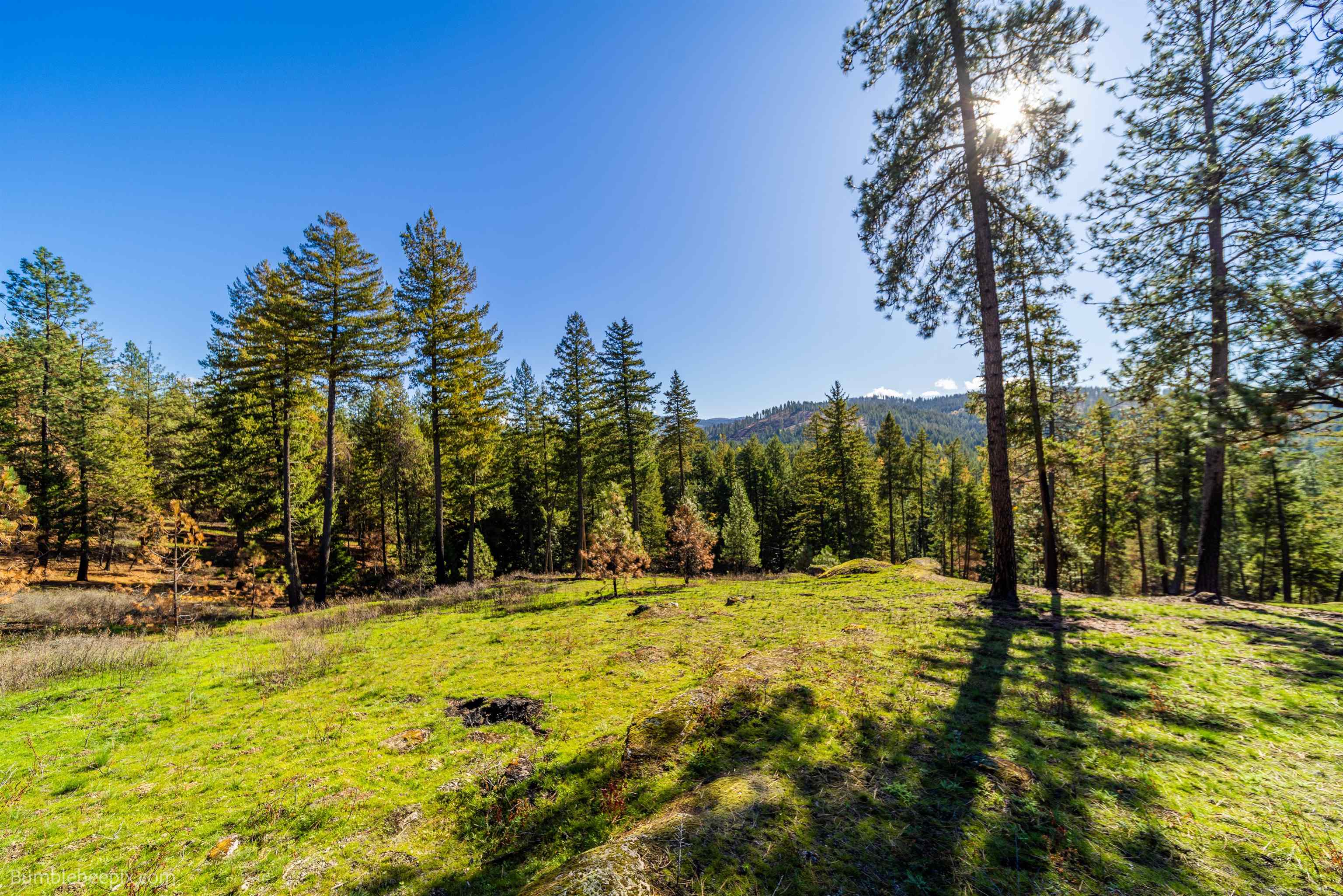 15428 East Nelson Road Elk, WA 99009 - Photo 22 of 36 Gallery Image 22