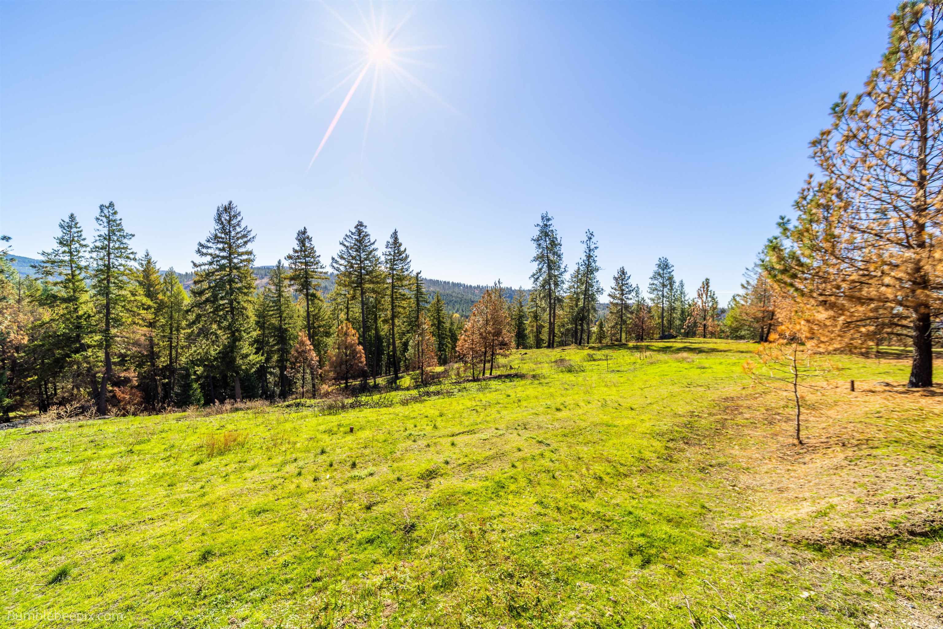 15428 East Nelson Road Elk, WA 99009 - Photo 23 of 36 Gallery Image 23