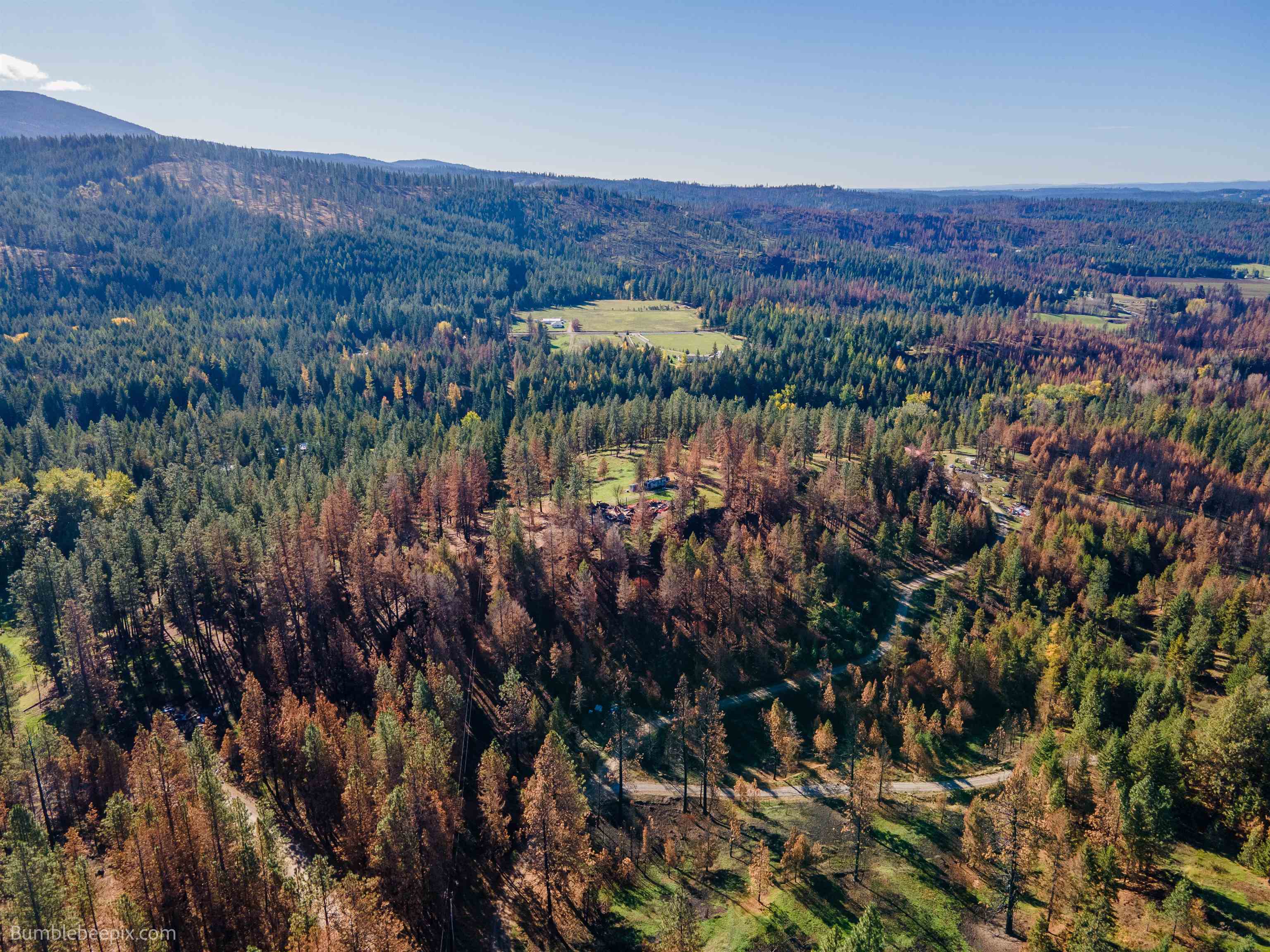 15428 East Nelson Road Elk, WA 99009 - Photo 25 of 36 Gallery Image 25
